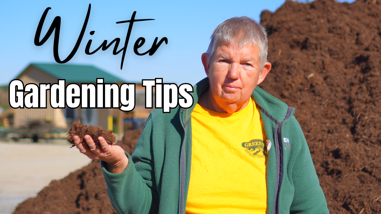 Winter Gardening Tips for Fayetteville, NC Nurturing Your Garden in